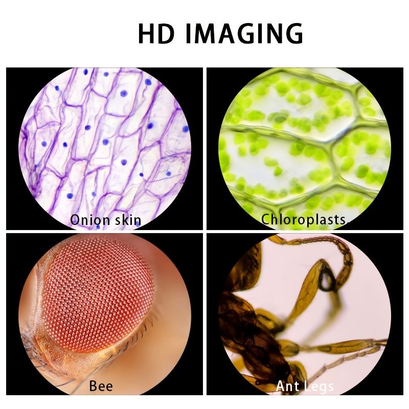 534956021