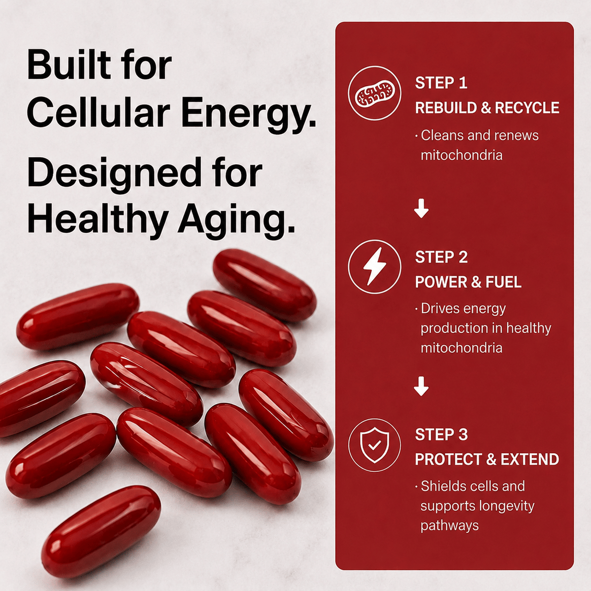 566361291